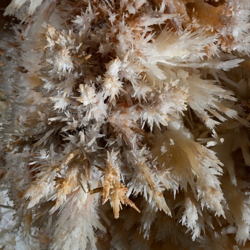 Grotte de Limousis (Aude) - Le lustre (détail d'un petit bouquet d'aragonite)(SP-21-0852)